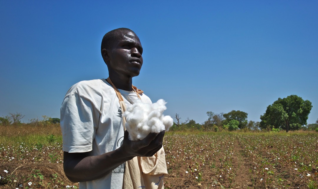 Cotonea: Lösungen für eine faire Baumwollproduktion 
